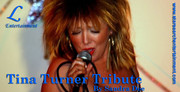 Tribute acts for venues,  weddings or private functions