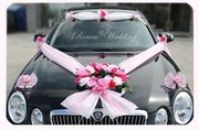 VIP decor for all type and size of cars